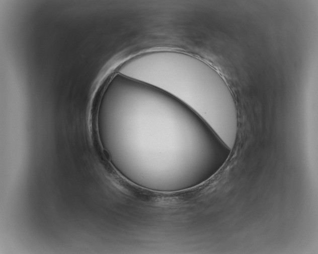 X0000111680296200907171639