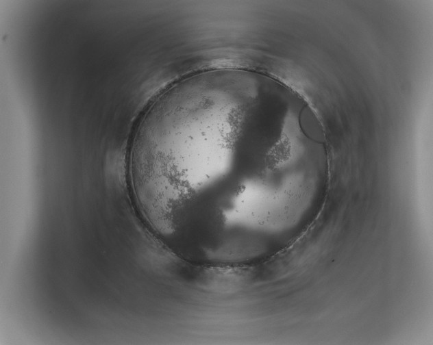 X0000111680297200907171639