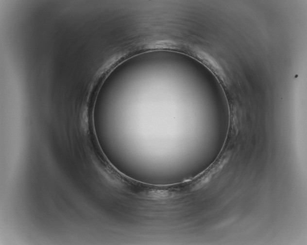 X0000111680298200907171639