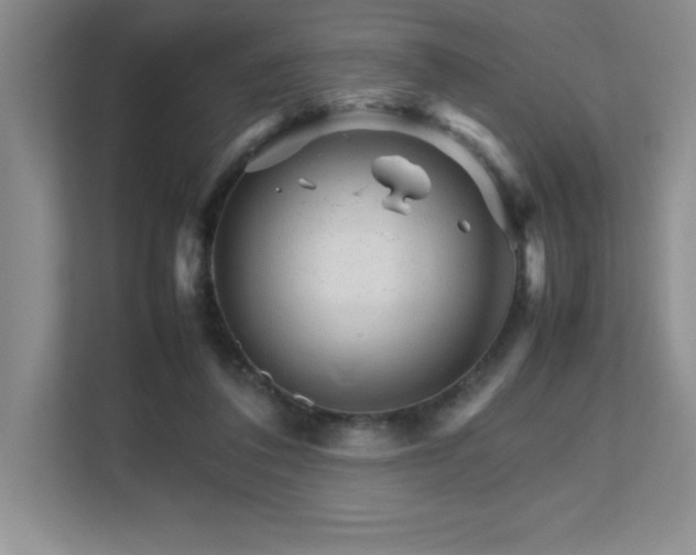 X0000111680308200907171639