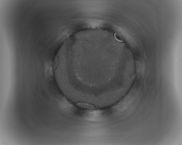 X0000111680313200907171639