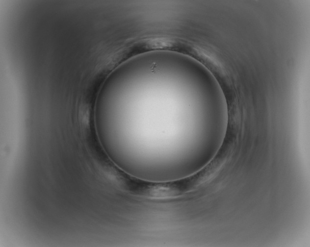 X0000111680315200907171639