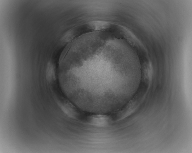 X0000111680316200907171639