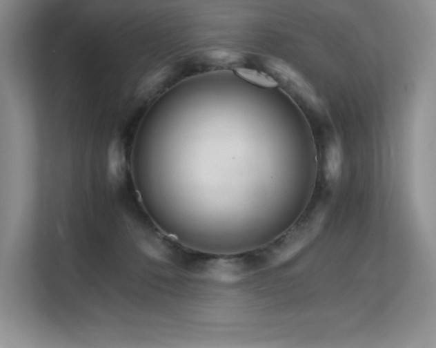 X0000111680320200907171639