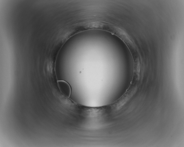 X0000111680326200907171639