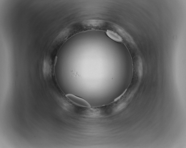 X0000111680328200907171639