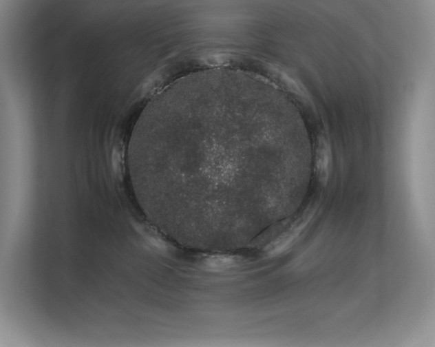 X0000111680332200907171639