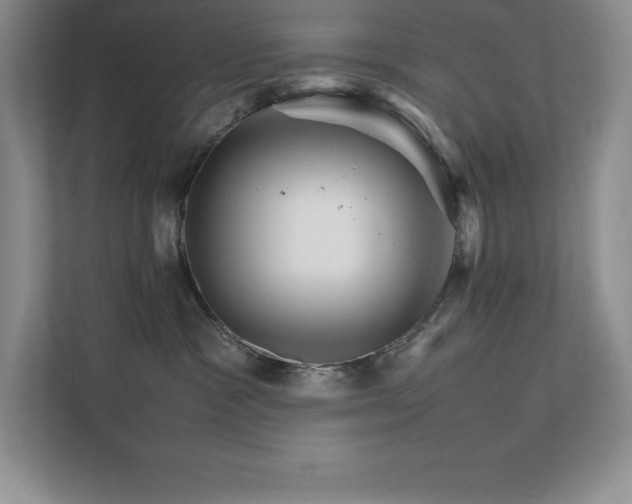 X0000111680333200907171639