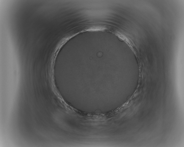 X0000111680337200907171638