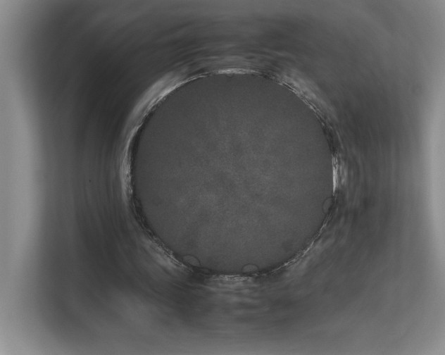 X0000111680339200907171638