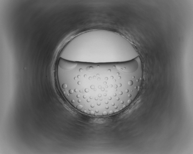 X0000111680341200907171638