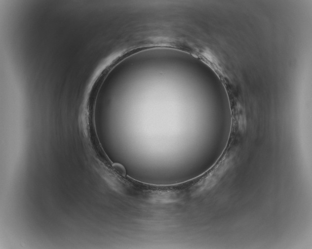 X0000111680342200907171638