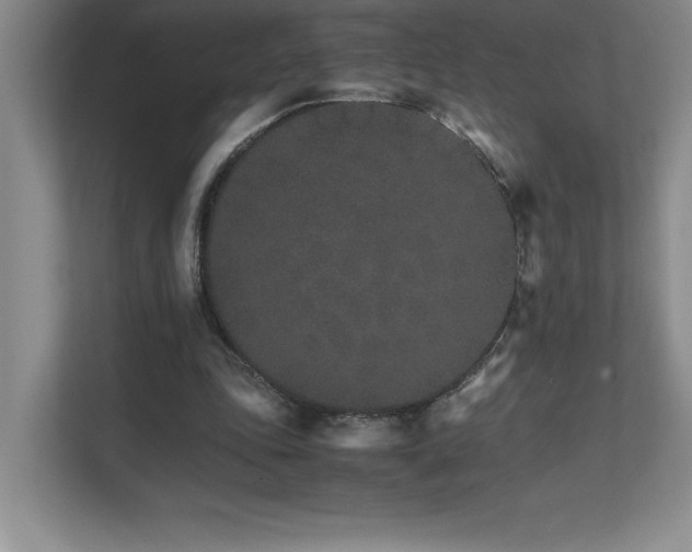 X0000111680343200907171638