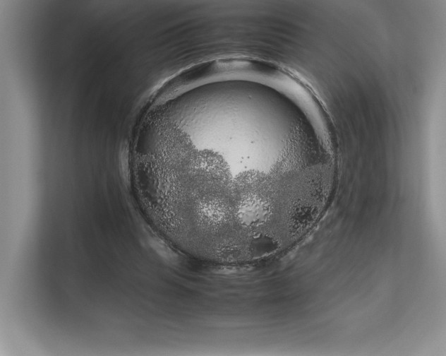 X0000111680345200907171638