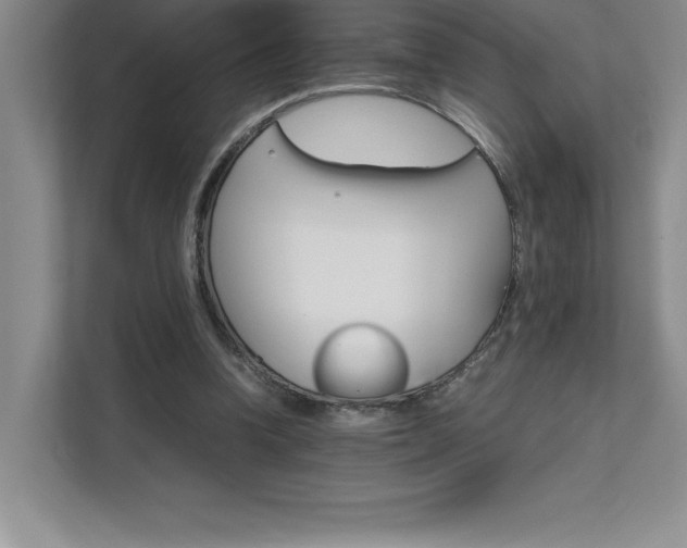 X0000111680346200907171638