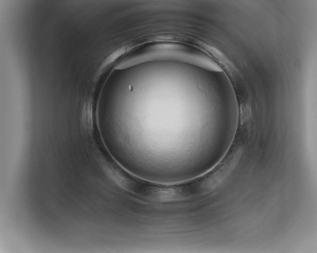 X0000111680349200907171638