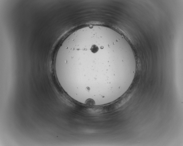 X0000111680351200907171638