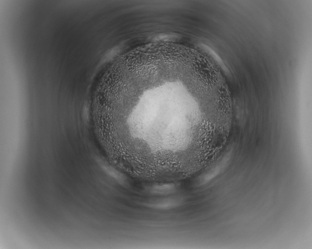 X0000111680357200907171638