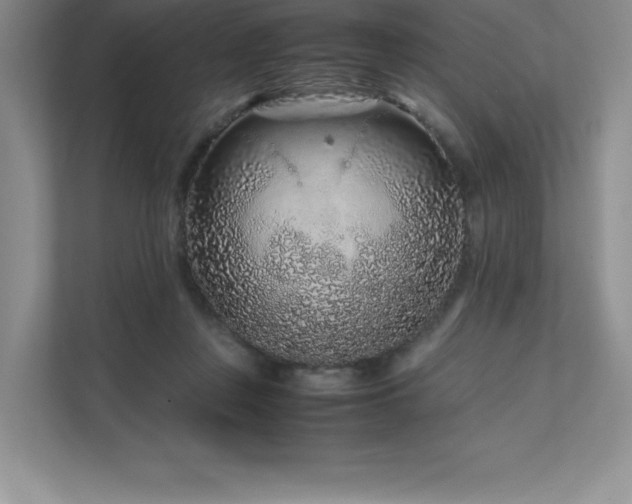 X0000111680359200907171638