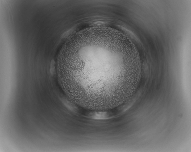 X0000111680361200907171638