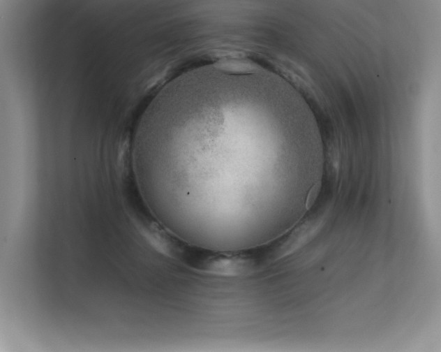 X0000111680364200907171638