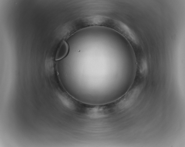 X0000111680366200907171638