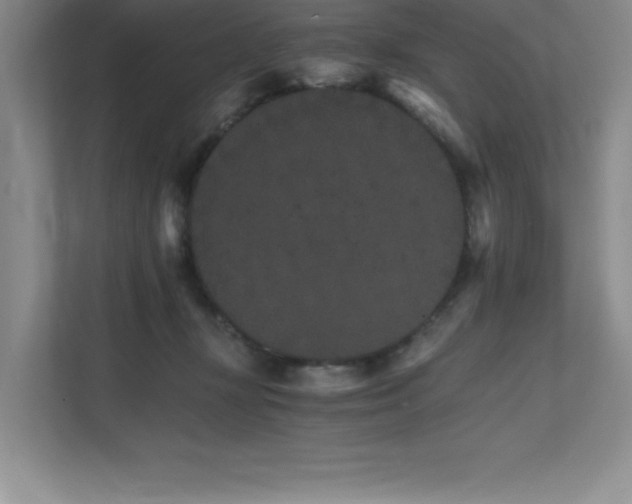 X0000111680367200907171638