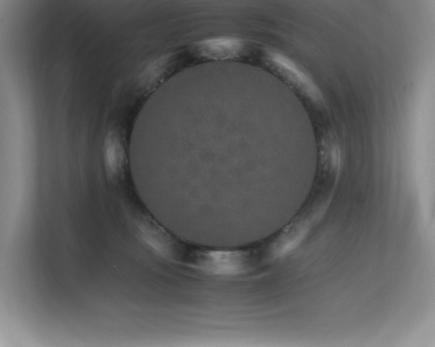 X0000111680371200907171638