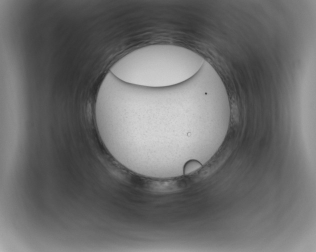 X0000111680375200907171639