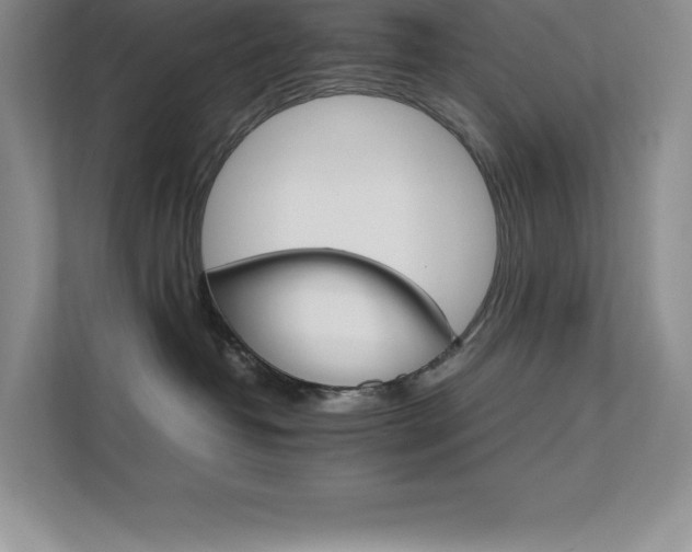 X0000111680382200907171639