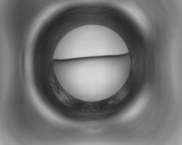 X0000111680383200907171639