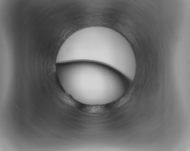 X0000111680384200907171639