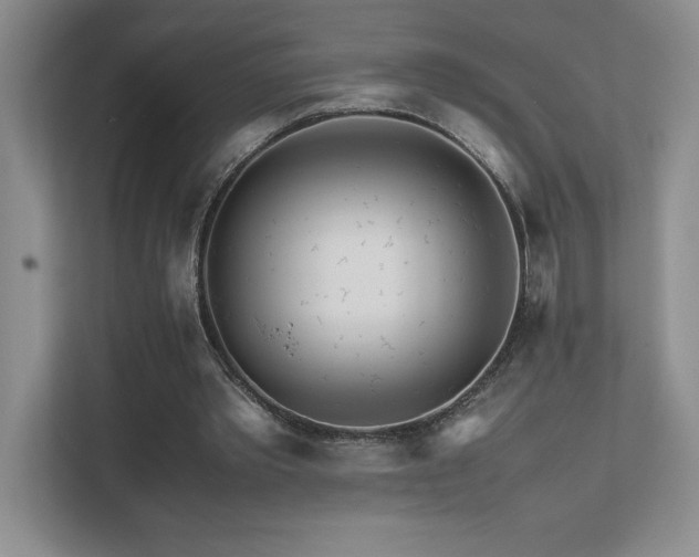 X0000111680389200907171638