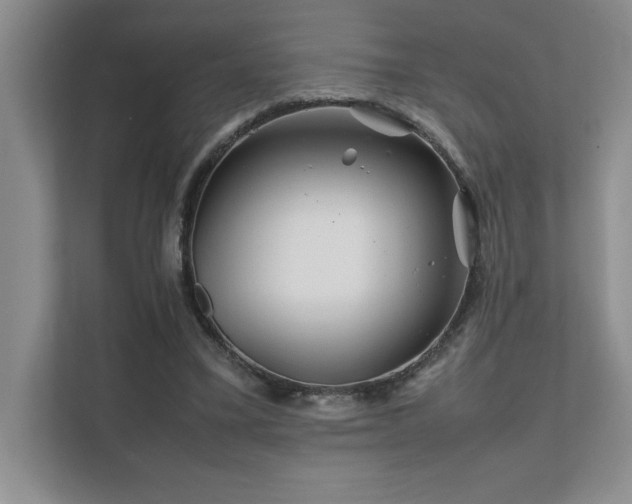 X0000111680395200907171638