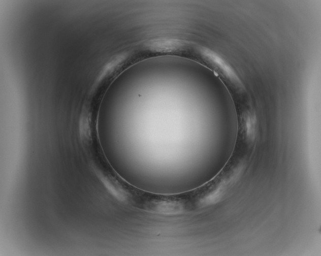 X0000111680400200907171638