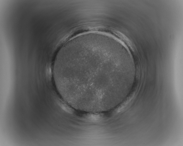 X0000111680405200907171638