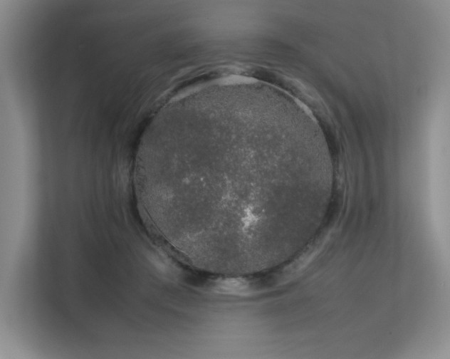 X0000111680409200907171638