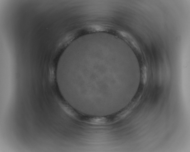 X0000111680410200907171638