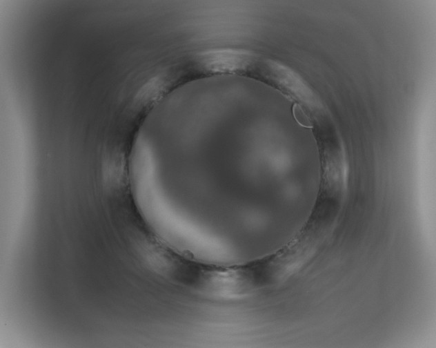 X0000111680411200907171638