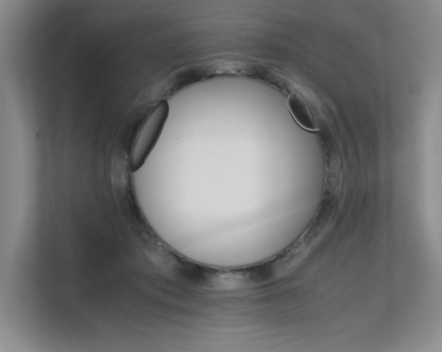 X0000111680413200907171638