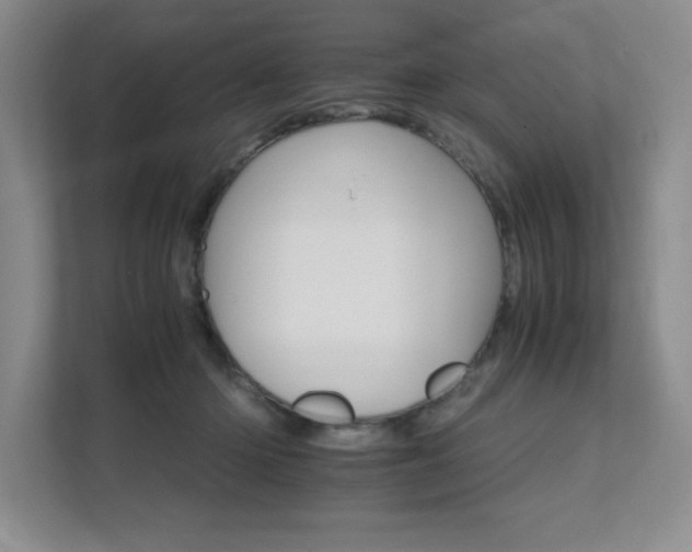 X0000111680414200907171638