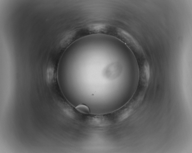 X0000111680420200907171638