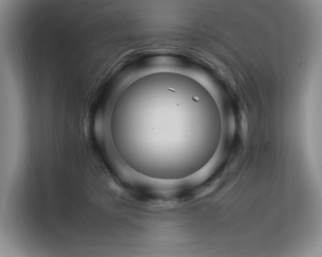 X0000111680421200907171638