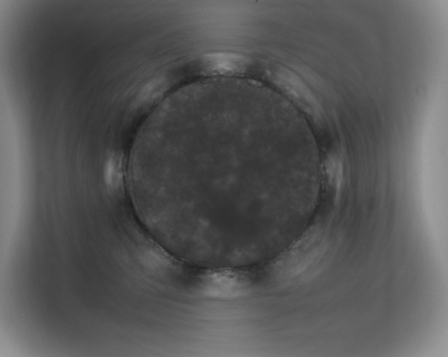 X0000111680423200907171638