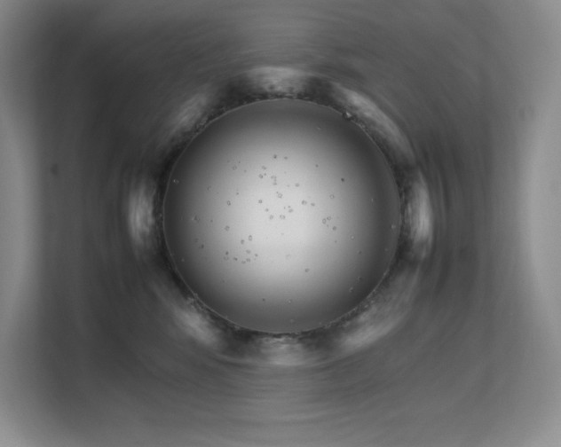 X0000111680424200907171637