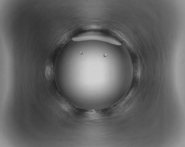 X0000111680425200907171637