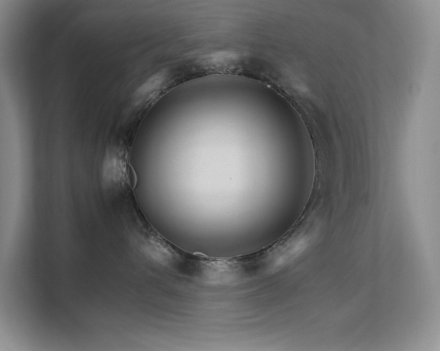 X0000111680432200907171637