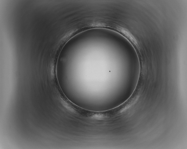 X0000111680441200907171637