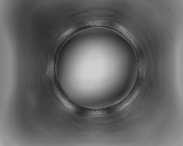 X0000111680445200907171637