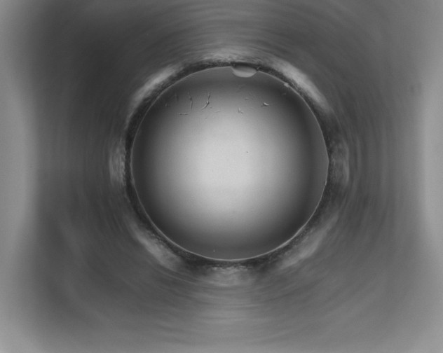 X0000111680446200907171637